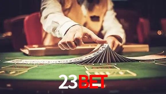 Crash Games Statistics 23BET